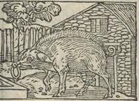 Picture 25 of 101 from Le theatre des bons engins, auquel sont contenuz cent emblemes moraulx (1546), leaf 40