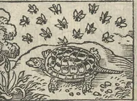Picture 29 of 101 from Le theatre des bons engins, auquel sont contenuz cent emblemes moraulx (1546), leaf 44