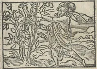 An illustration from Le theatre des bons engins, auquel sont contenuz cent emblemes moraulx (1546)