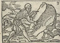 Picture 34 of 101 from Le theatre des bons engins, auquel sont contenuz cent emblemes moraulx (1546), leaf 49