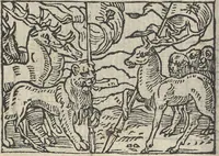 Picture 40 of 101 from Le theatre des bons engins, auquel sont contenuz cent emblemes moraulx (1546), leaf 55