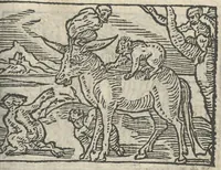 Picture 43 of 101 from Le theatre des bons engins, auquel sont contenuz cent emblemes moraulx (1546), leaf 58