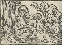 Picture 48 of 101 from Le theatre des bons engins, auquel sont contenuz cent emblemes moraulx (1546), leaf 63