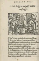 An illustration from Le theatre des bons engins, auquel sont contenuz cent emblemes moraulx (1546)