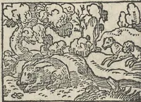 Picture 62 of 101 from Le theatre des bons engins, auquel sont contenuz cent emblemes moraulx (1546), leaf 77