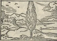 Picture 66 of 101 from Le theatre des bons engins, auquel sont contenuz cent emblemes moraulx (1546), leaf 81