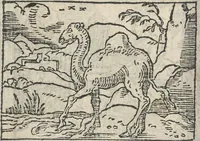An illustration from Le theatre des bons engins, auquel sont contenuz cent emblemes moraulx (1546)