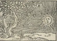 Picture 73 of 101 from Le theatre des bons engins, auquel sont contenuz cent emblemes moraulx (1546), leaf 88
