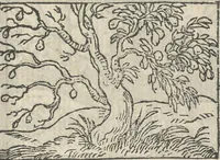 Picture 81 of 101 from Le theatre des bons engins, auquel sont contenuz cent emblemes moraulx (1546), leaf 96