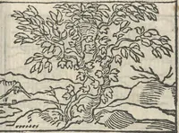 Picture 83 of 101 from Le theatre des bons engins, auquel sont contenuz cent emblemes moraulx (1546), leaf 98