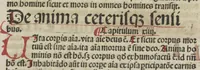 An illustration from De summo bono libri tres Sancti Isidori, Hyspaliensis Episcopi (1492)