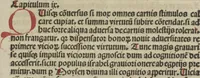 An illustration from De summo bono libri tres Sancti Isidori, Hyspaliensis Episcopi (1492)