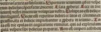 Picture 30 of 44 from De summo bono libri tres Sancti Isidori, Hyspaliensis Episcopi (1492), leaf 97