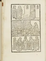 Picture 3 of 25 from Itinerarium seu peregrinatio Beate Virginis [et] Dei genitricis Marie (1490), leaf 14