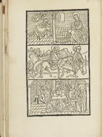 An illustration from Itinerarium seu peregrinatio Beate Virginis [et] Dei genitricis Marie (1490)