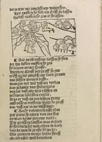 An illustration from Herzog Ernsts Ausfahrt (1500)