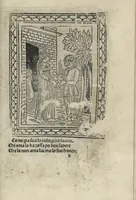 Picture 48 of 51 from Chosi falsa speranza ne martelia, non lassar mai lo certo per lo incerto, se non che del tuo proprio fie diserto (1487), leaf 119