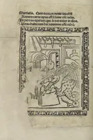 An illustration from Chosi falsa speranza ne martelia, non lassar mai lo certo per lo incerto, se non che del tuo proprio fie diserto (1487)
