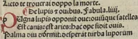 An illustration from Chosi falsa speranza ne martelia, non lassar mai lo certo per lo incerto, se non che del tuo proprio fie diserto (1487)