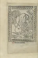 Picture 6 of 51 from Chosi falsa speranza ne martelia, non lassar mai lo certo per lo incerto, se non che del tuo proprio fie diserto (1487), leaf 24