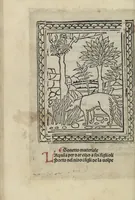 An illustration from Chosi falsa speranza ne martelia, non lassar mai lo certo per lo incerto, se non che del tuo proprio fie diserto (1487)
