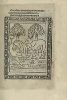 Picture 18 of 51 from Chosi falsa speranza ne martelia, non lassar mai lo certo per lo incerto, se non che del tuo proprio fie diserto (1487), leaf 51