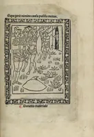 Picture 20 of 51 from Chosi falsa speranza ne martelia, non lassar mai lo certo per lo incerto, se non che del tuo proprio fie diserto (1487), leaf 53