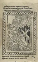 An illustration from Chosi falsa speranza ne martelia, non lassar mai lo certo per lo incerto, se non che del tuo proprio fie diserto (1487)