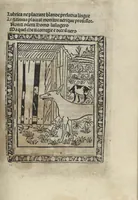 Picture 24 of 51 from Chosi falsa speranza ne martelia, non lassar mai lo certo per lo incerto, se non che del tuo proprio fie diserto (1487), leaf 63