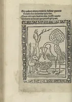 An illustration from Chosi falsa speranza ne martelia, non lassar mai lo certo per lo incerto, se non che del tuo proprio fie diserto (1487)
