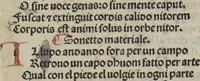 An illustration from Chosi falsa speranza ne martelia, non lassar mai lo certo per lo incerto, se non che del tuo proprio fie diserto (1487)
