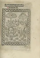 Picture 33 of 51 from Chosi falsa speranza ne martelia, non lassar mai lo certo per lo incerto, se non che del tuo proprio fie diserto (1487), leaf 75