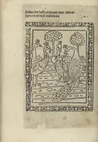 Picture 34 of 51 from Chosi falsa speranza ne martelia, non lassar mai lo certo per lo incerto, se non che del tuo proprio fie diserto (1487), leaf 78