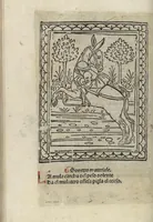 Picture 35 of 51 from Chosi falsa speranza ne martelia, non lassar mai lo certo per lo incerto, se non che del tuo proprio fie diserto (1487), leaf 80