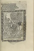 Picture 40 of 51 from Chosi falsa speranza ne martelia, non lassar mai lo certo per lo incerto, se non che del tuo proprio fie diserto (1487), leaf 95