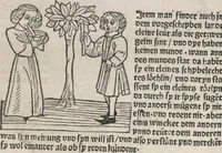 Picture 52 of 88 from Itinerarium (1484), leaf 105