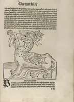 An illustration from Itinerarium (1484)