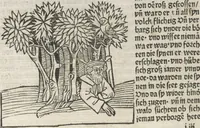 Picture 66 of 88 from Itinerarium (1484), leaf 122
