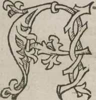 Picture 73 of 88 from Itinerarium (1484), leaf 133