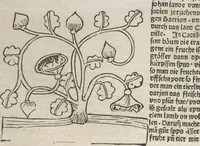 An illustration from Itinerarium (1484)