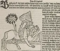 Picture 76 of 88 from Itinerarium (1484), leaf 137