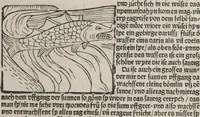 An illustration from Itinerarium (1484)