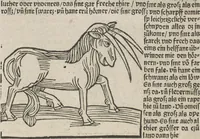 An illustration from Itinerarium (1484)