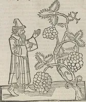 Picture 88 of 88 from Itinerarium (1484), leaf 168