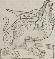 Picture 6 of 88 from Itinerarium (1484), leaf 19