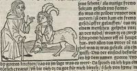 An illustration from Itinerarium (1484)
