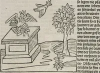 Picture 9 of 88 from Itinerarium (1484), leaf 31