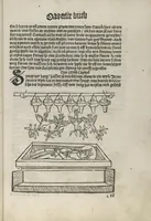 Picture 12 of 88 from Itinerarium (1484), leaf 38