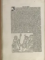 Picture 16 of 88 from Itinerarium (1484), leaf 43