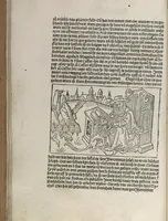 Picture 18 of 88 from Itinerarium (1484), leaf 45